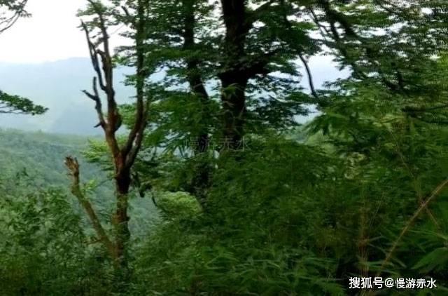 可爱宝宝大作战